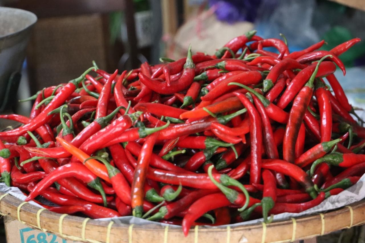 Cabai: Menanam dalam Kerentanan, Untuk Sambal yang Menghangatkan