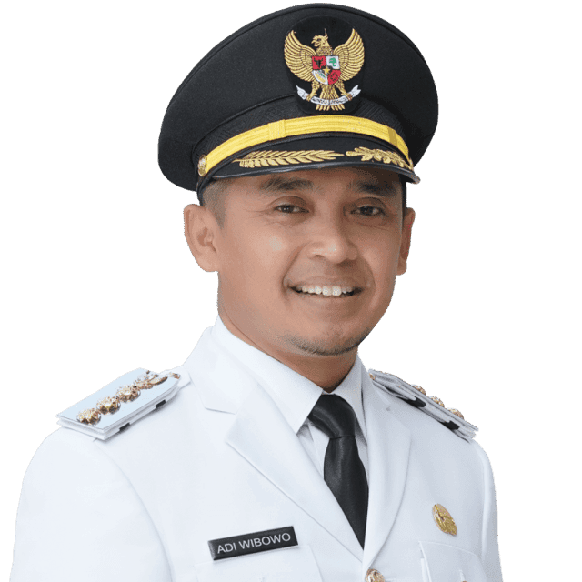 Adi Wibowo