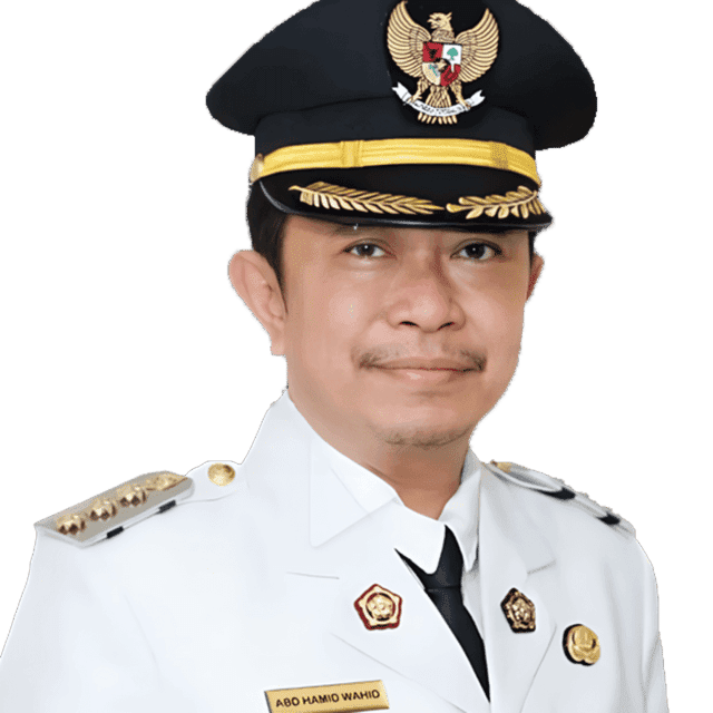 Abdul Hamid