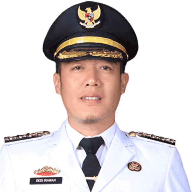 Dedi Irawan